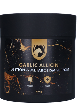 Excellent Horse Garlic Allicin Powder 800 g