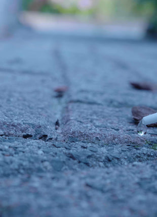 Knock Pest Mieren Gel 5 g