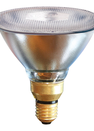 Spaarlamp 100 W - Wit