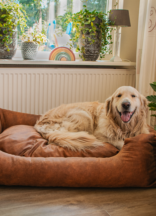 Let's Sleep Sweet Dreams Hondenmand Met Kussen Taupe