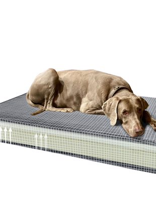 Madison Orthopedisch Kussen Velvet Groen S