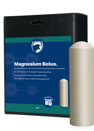 Excellent Magnesium Bolus 4 x 180 g