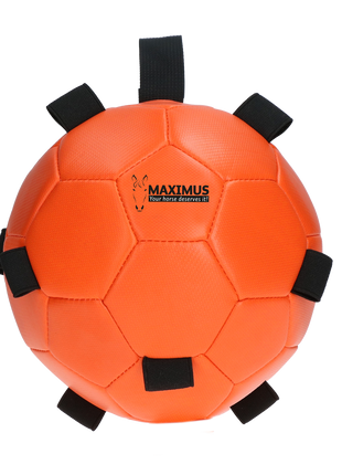 Excellent Horse Fun Play Ball Oranje