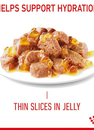 Royal Canin Light Weight Care w galaretce karma mokra dla kotów dorosłych, z tendencją do nadwagi saszetka 85g