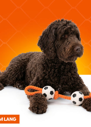 Oranje Flostouw Voetballen