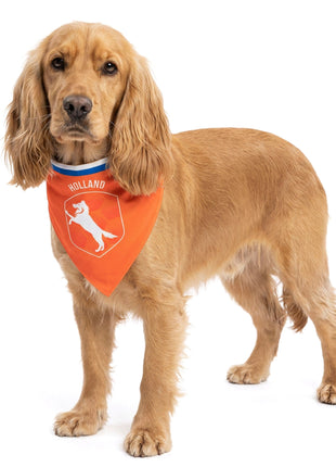 Oranje Bandana Holland