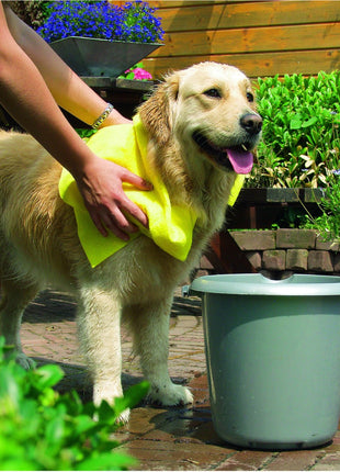 Pawise Dog Towel