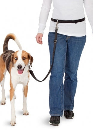 Pawise Hands Free Doggy Jogger Kit