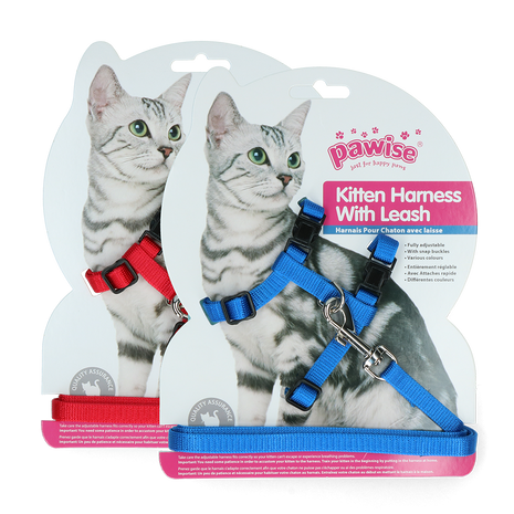 Pawise Kitten Harness With Leash Red/Blue
