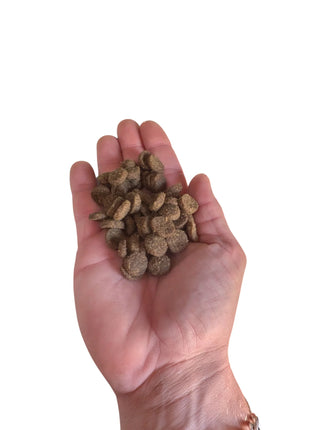 Acana Classic Red Trockenfutter für Hunde – Alleinfuttermittel mit Lamm, Rind und Schwein – 2 kg, 9,7 kg, 14,5 kg