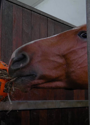 Hay Slow Feeder Fun & Flex Roze