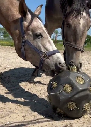 Excellent Horse Feed & Play Ball Zwart