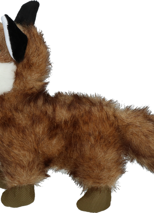 Wild Life Dog Vos