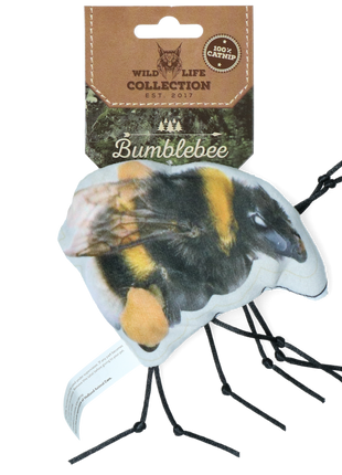 Wild Life Cat Hommel