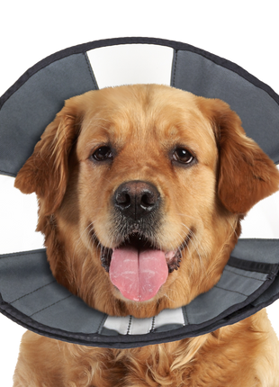 Zenpet Procone