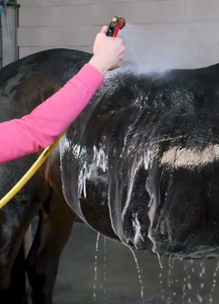 Excellent Horse Grooming Brush Roze