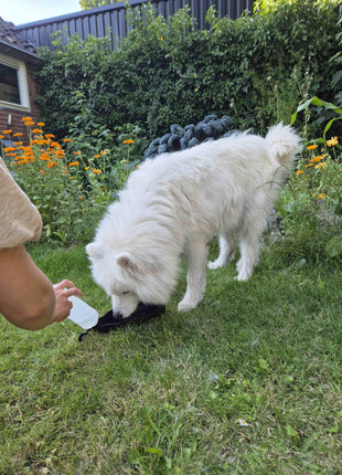 Petgear Reisetrinkflasche – Wasserflasche und Wassernapf in einem für unterwegs