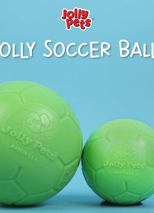 Jolly Soccer Ball Roze L (20 cm)
